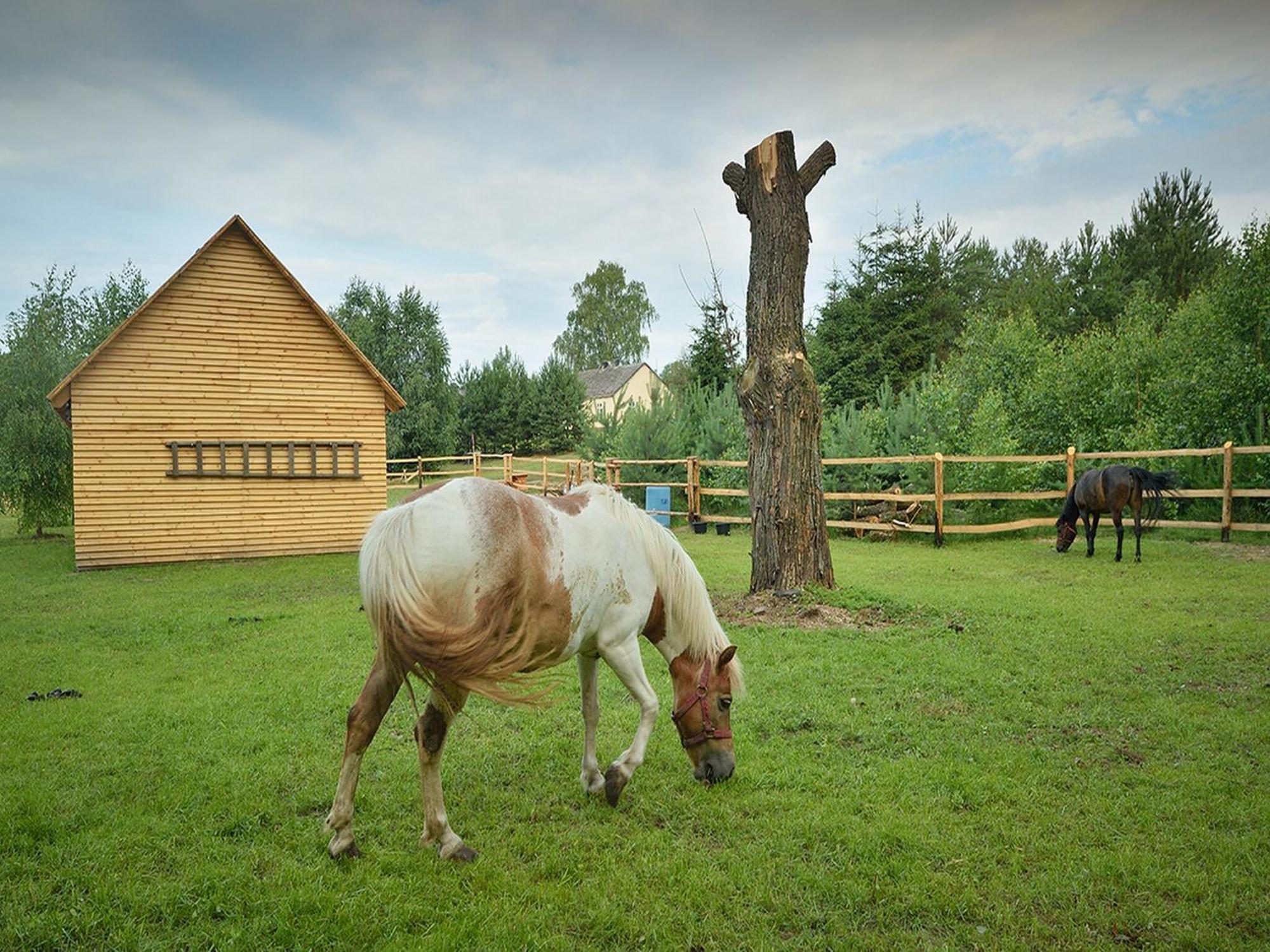 Wooden Holiday Home In Skrzynia With Terrace Osiek  Kültér fotó